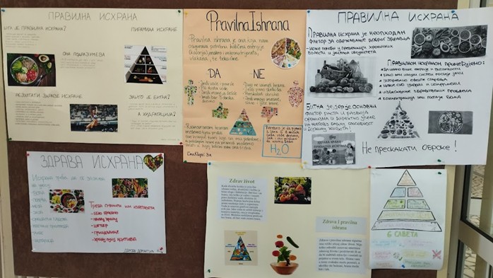 Примењене науке1 храна ЉС.docx